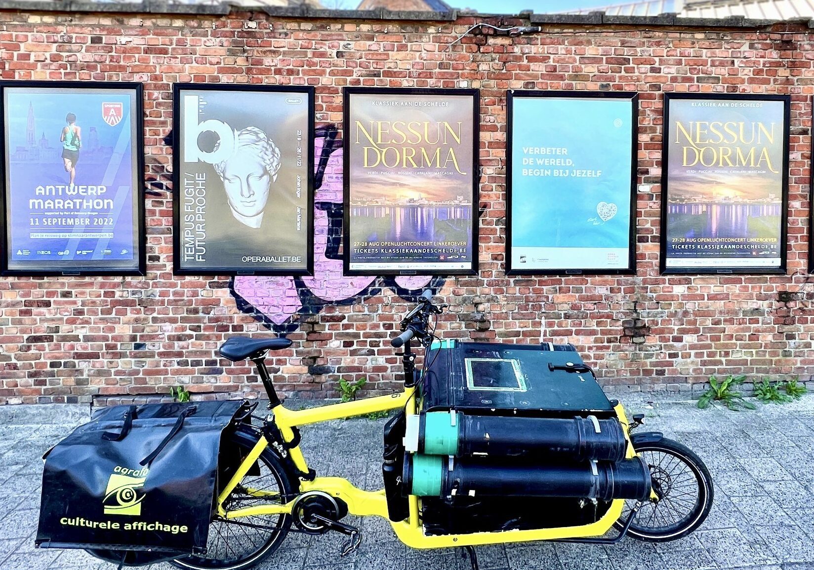 300915794 5478691725503008 6609684426816853532 n